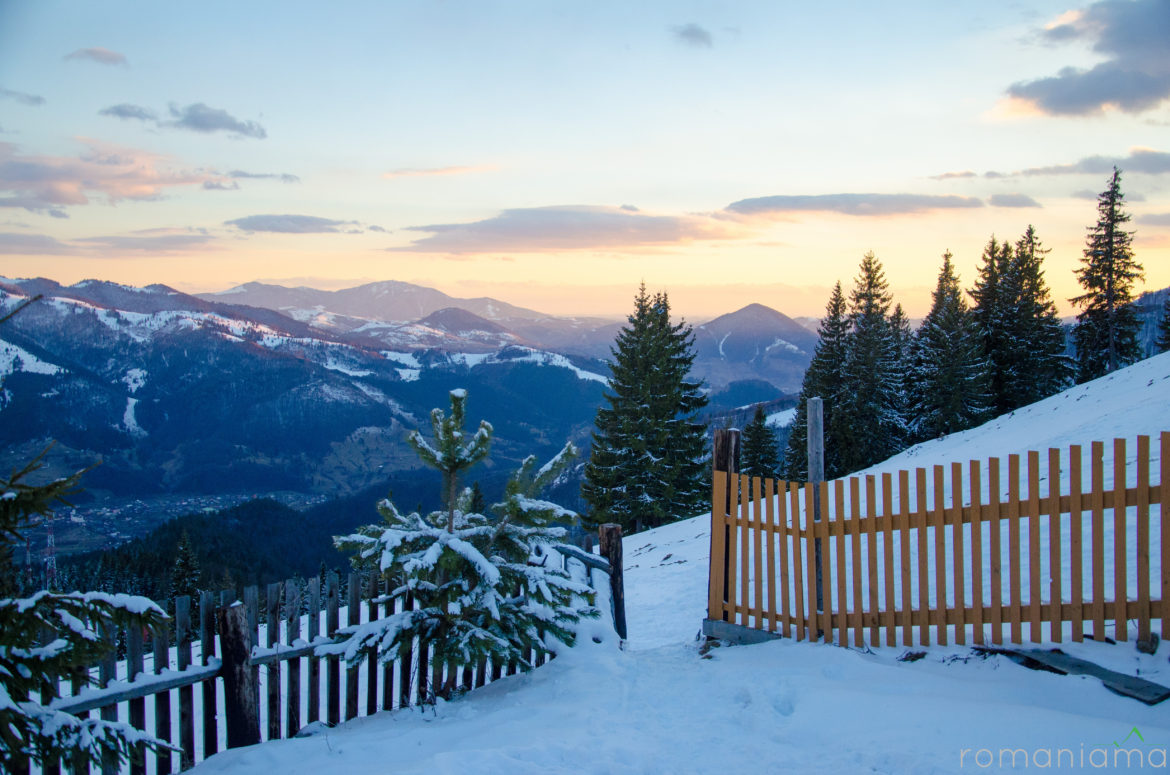 Munţii Rodnei: Tură de iarnă Alpina Blazna – Vârful Cobășel