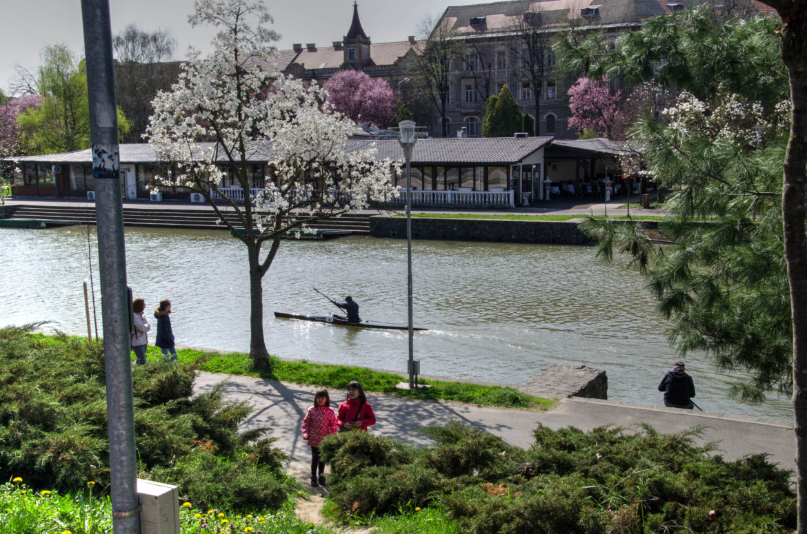 Timișoara