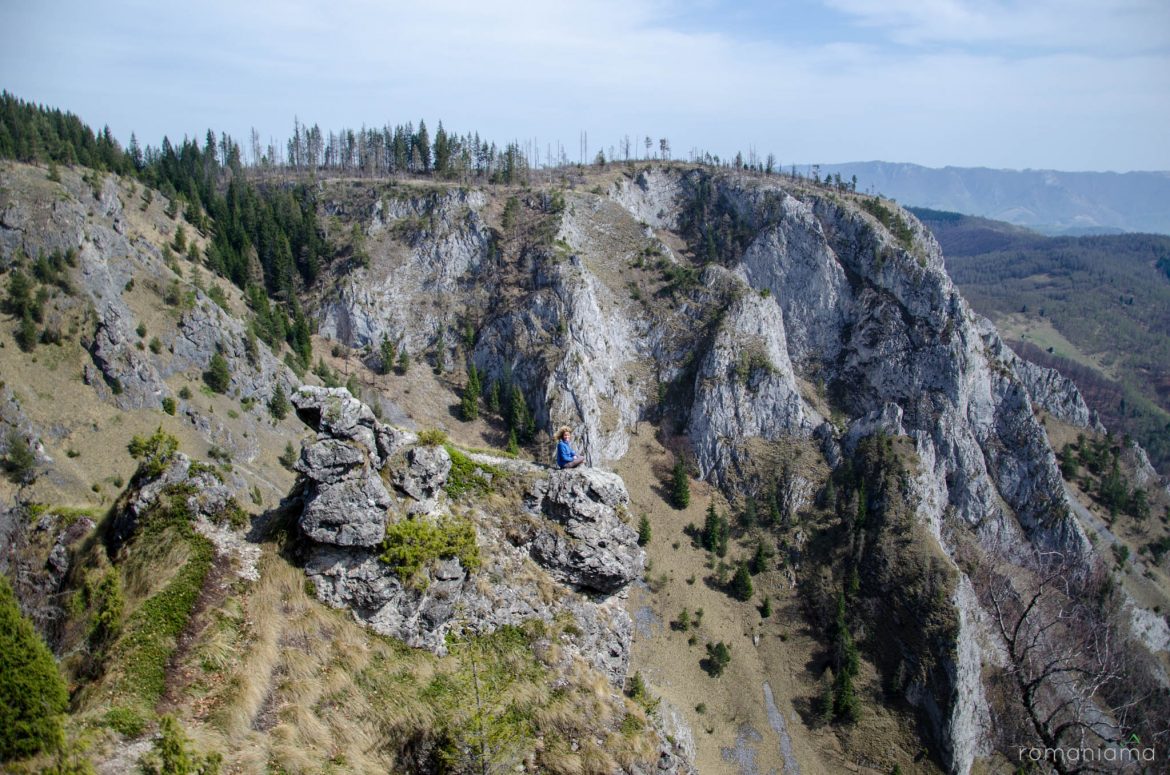 Rezervaţia Scăriţa-Belioara