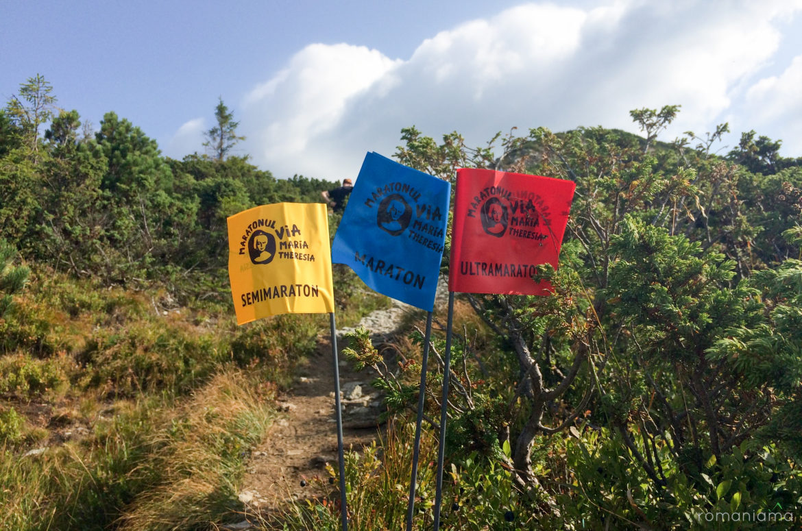 Alergare pe Via Maria Theresia